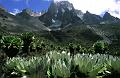 Monte Kenya - Kenya